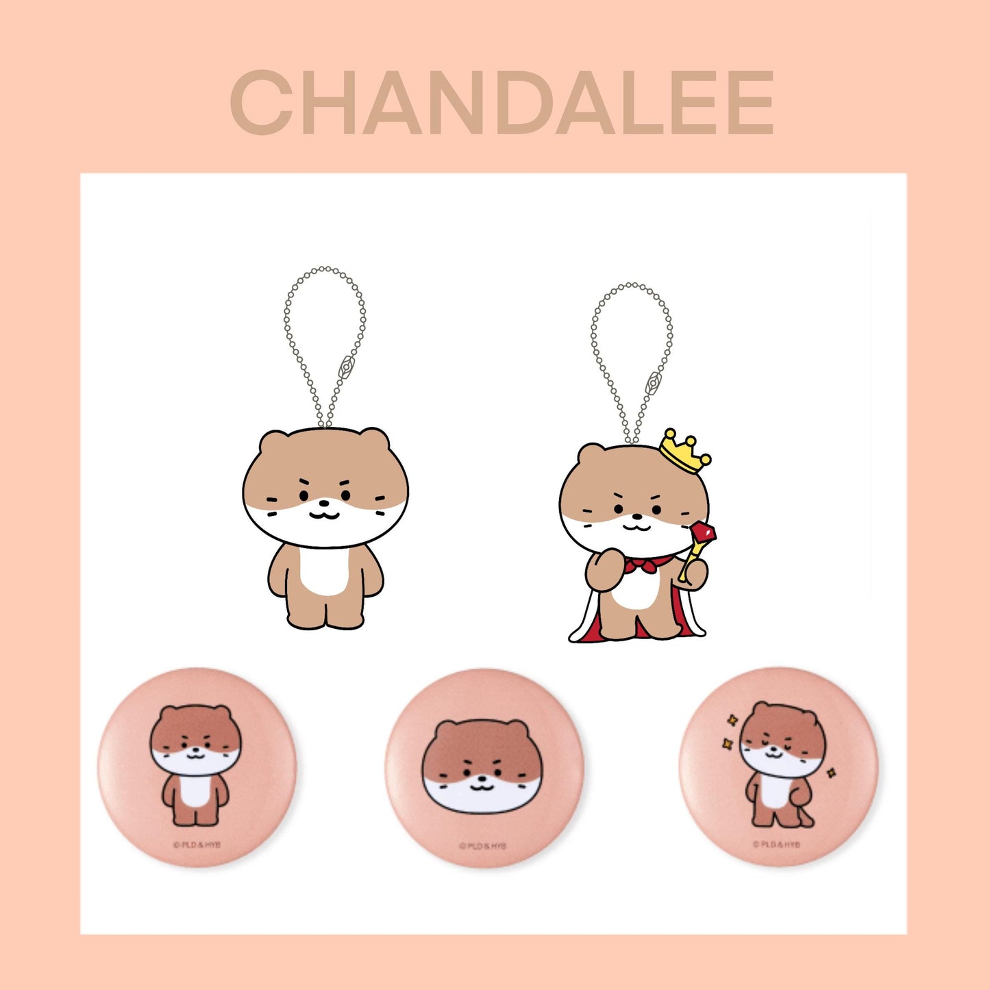 SEVENTEEN Cartoon Acrylic Set — 2 Keychains & 3 Badges Collection