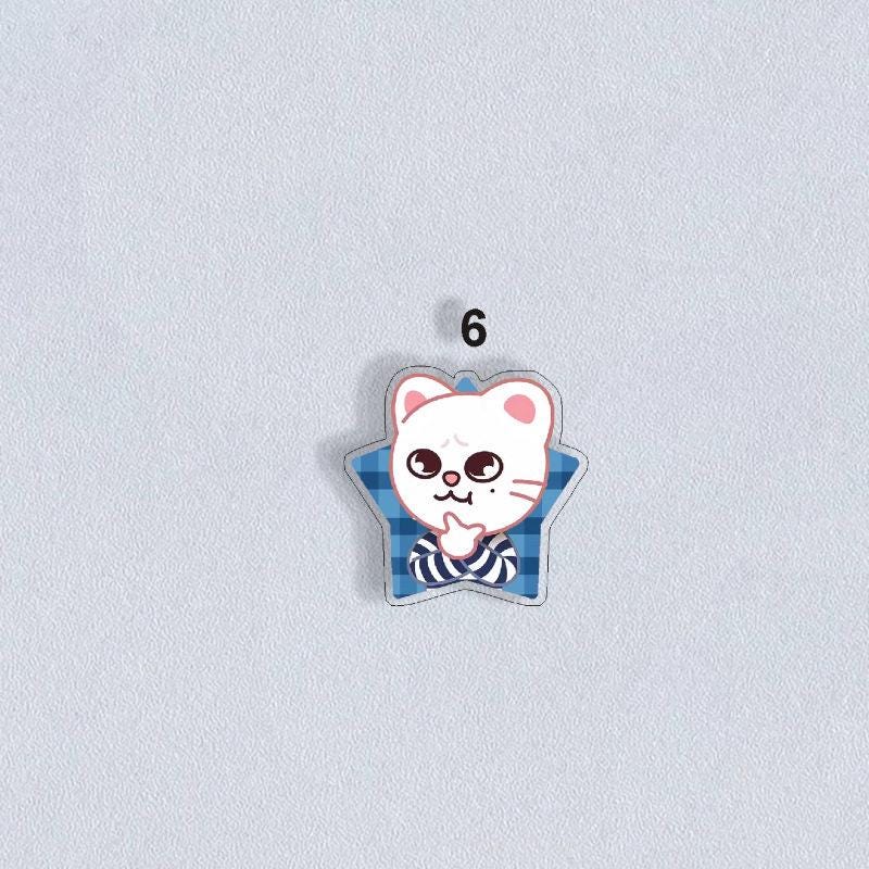 Stray Kids Skzoo Acrylic Pin Badges Set — K-POP Fan Merch